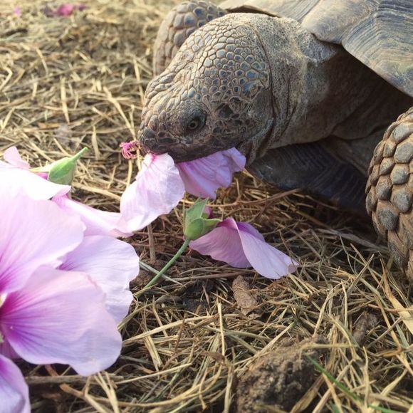 Meet your Posher, Carly - Picture 1 of 1